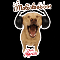 Comida Molito GIF by Mole Doña María