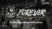fans crowd GIF by CollingwoodFC