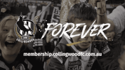 fans crowd GIF by CollingwoodFC