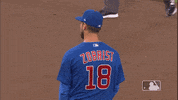 Regular Season Sport GIF by MLB