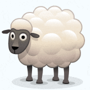 sheep pooping GIF