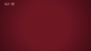 missouri state bears GIF by Missouri Valley Conference