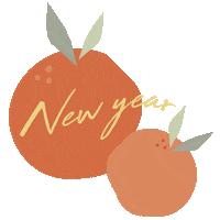 Happy New Year Orange Sticker by alexiz