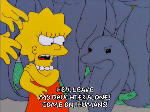 homer simpson GIF
