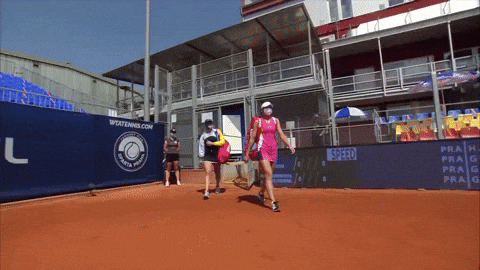 Anastasia Pavlyuchenkova Kudermetova GIF