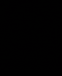 Action Sports Skate GIF by Nitro Circus