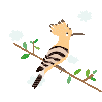 dieresi annadieresi puput Sticker