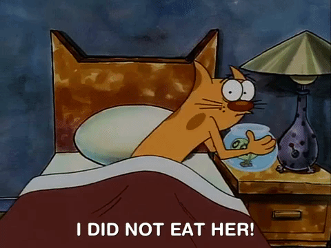 nicksplat GIF