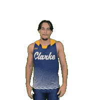Clarke Athletics Sticker by Clarke University