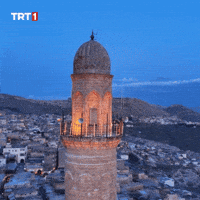 Travel History GIF by TRT