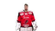 Sport Avsenik Sticker by HDD SIJ Acroni Jesenice