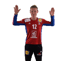 Ffhandball Sticker by Fédération Française de Handball