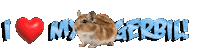Guinea Pig Love Sticker