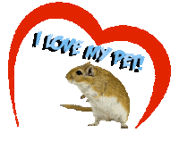 Guinea Pig Love Sticker