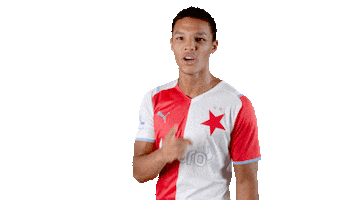 Football Soccer Sticker by SK Slavia Praha