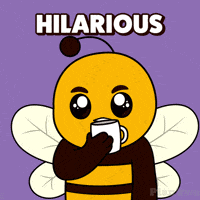Plan B Lol GIF by Plan Bee Studios