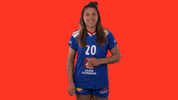 Ffhandball GIF by Fédération Française de Handball
