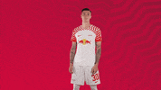 Oh Yeah Yes GIF by RB Leipzig
