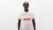 Rb Leipzig Yes GIF by Bundesliga