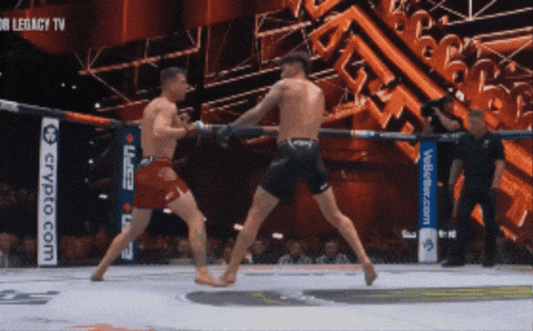 Ufc Chile GIF