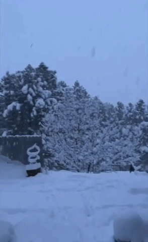 May Snowstorm Turns Idaho Into Winter Wonderland