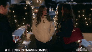 Torrey Devitto Nicole GIF by Hallmark Mystery