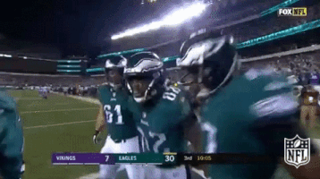 philadelphia eagles football GIF by NFL