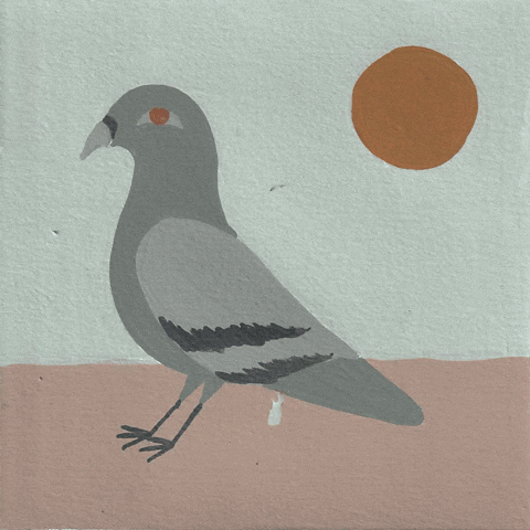 Animation Analog GIF