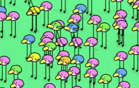 Nintendo Wii Birds GIF