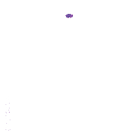 Muslim Marry Sticker by Proposal