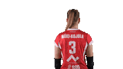Sport Volleyball Sticker by LP Viesti