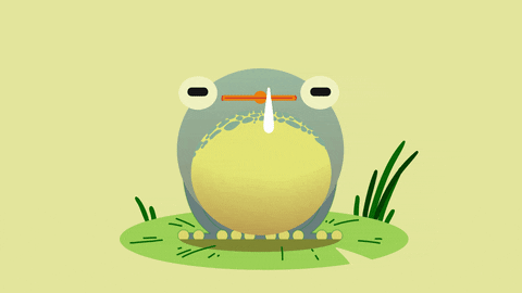 Frog Lily GIF by Percolate Galactic