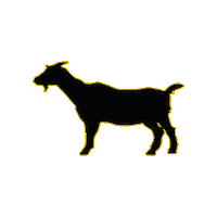 Goat Sticker by TouzaniTV