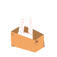 Zayha happy rabbit box hide Sticker