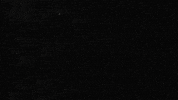Jartible GIF by Cruzcampo