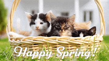 Happy Spring!