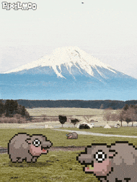 Camping Mount Fuji GIF