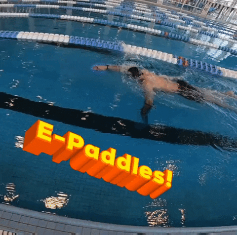 karlhamouche e-paddles GIF