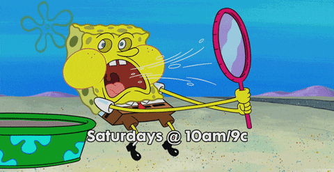 GIF by SpongeBob SquarePants