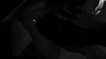 Black And White Hand GIF by Sub Pop Records