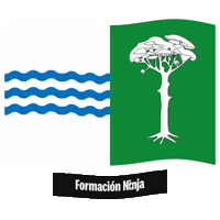 Castilla Y Leon Flag Sticker by Formación Ninja
