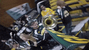 universityofvermont vermont uvm university of vermont catamounts GIF