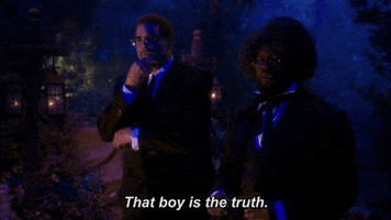 fox tv comedy GIF by REL