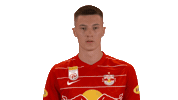 Red Bull Love Sticker by FC Red Bull Salzburg