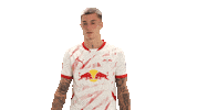 Rb Leipzig Selfie Sticker by Bundesliga