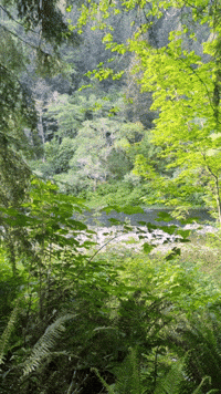 Chill Camping GIF