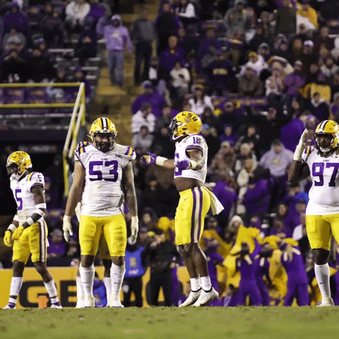 Hype Up Get Loud GIF by LSU Tigers