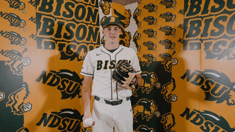 Baseball Bison GIF by NDSU Athletics