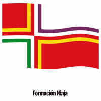Flag Spain GIF by Formación Ninja