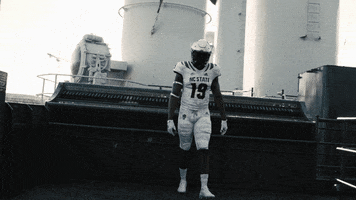 North Carolina Wolf GIF by NC State Athletics